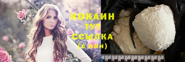 стафф Богданович