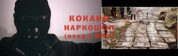 стафф Богданович