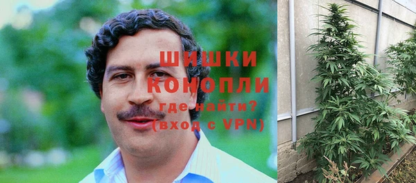 стафф Богданович