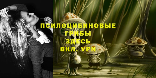дурь Бугульма