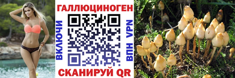 Псилоцибиновые грибы GOLDEN TEACHER  Нерюнгри 
